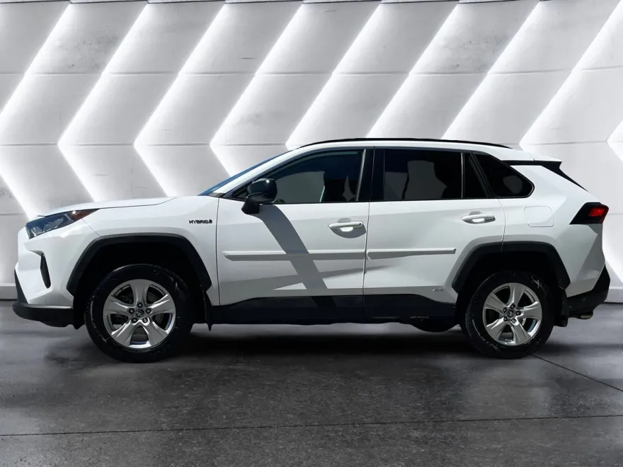 2020 Toyota RAV4 Hybrid LE photo 1