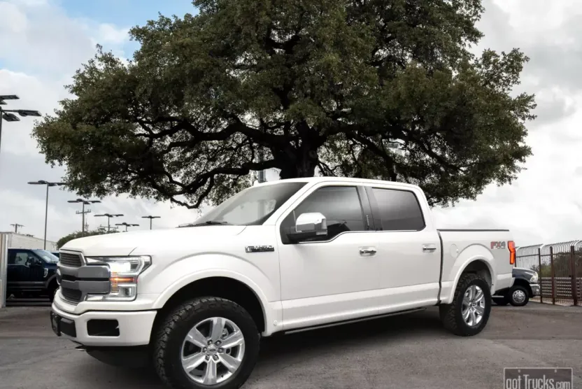 2019 Ford F-150 Platinum photo 1