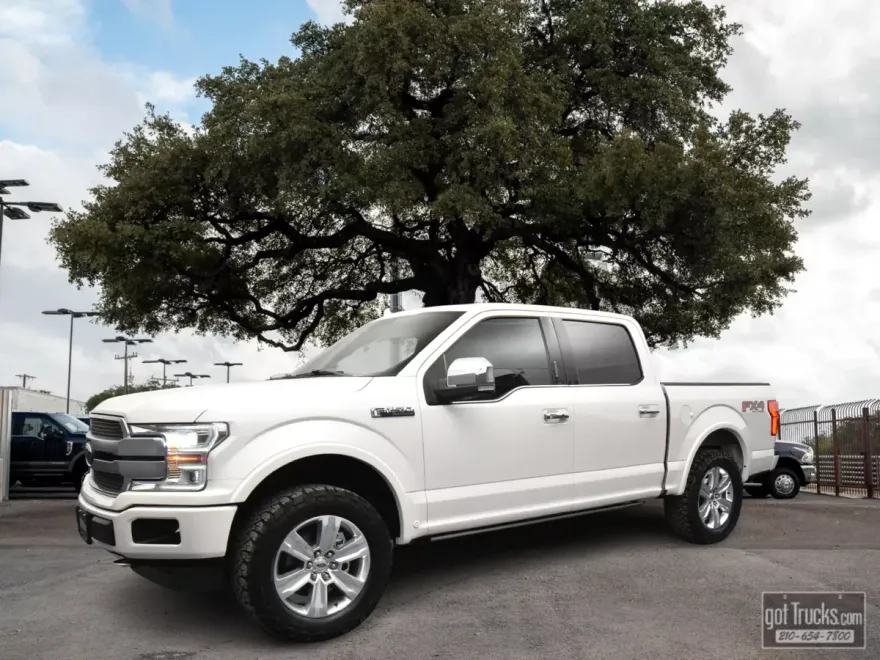 2019 Ford F-150 Platinum photo 1
