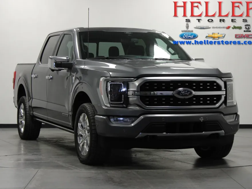 2021 Ford F-150 Platinum photo 1