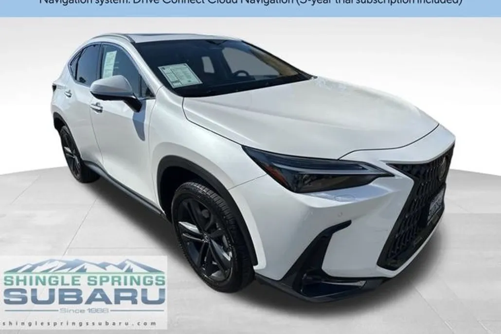 2024 Lexus NX 450h+ Luxury photo 1