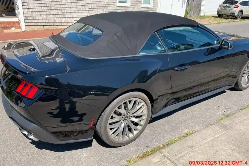 2024 Ford Mustang EcoBoost Premium Convertible photo 1
