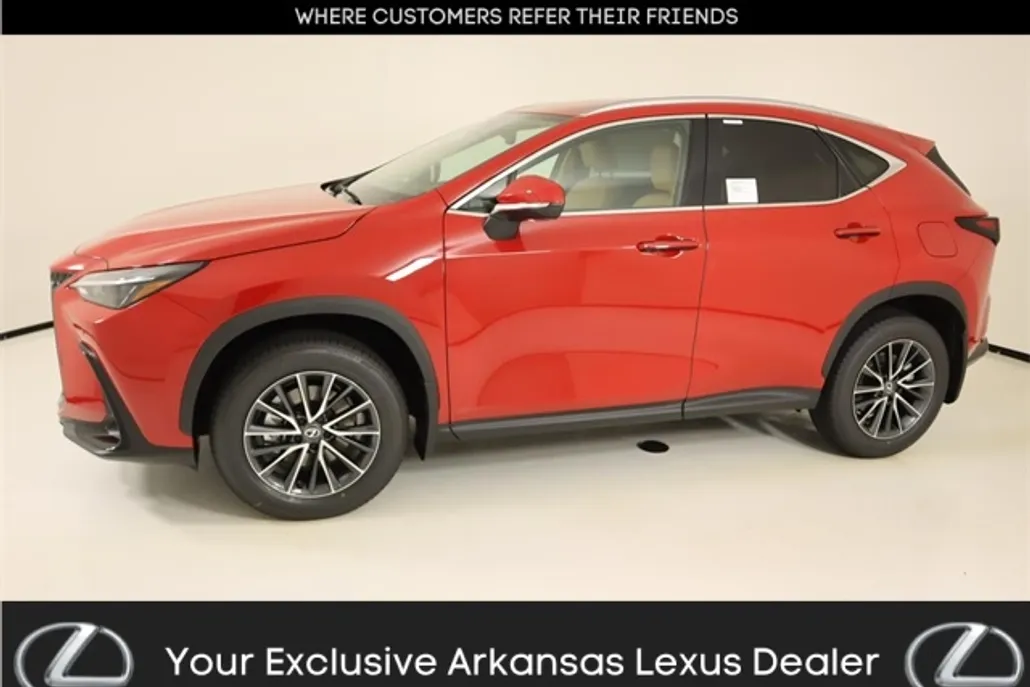 2025 Lexus NX 250 photo 1