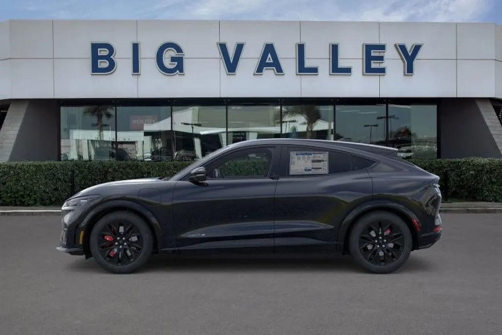 2025 Ford Mustang Mach-E Premium photo 1