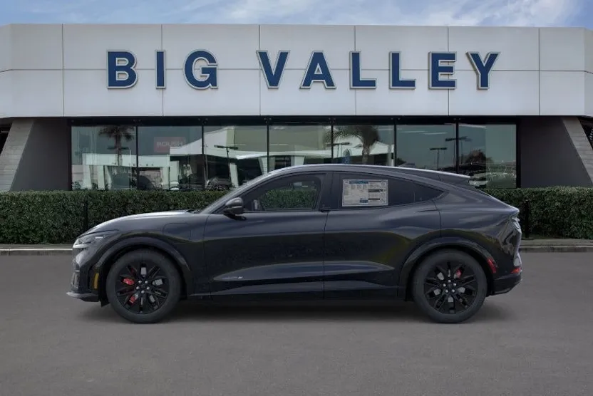 2025 Ford Mustang Mach-E Premium photo 1