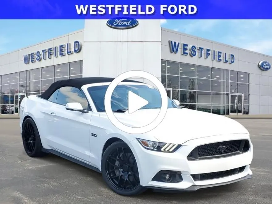 2015 Ford Mustang GT Premium photo 1