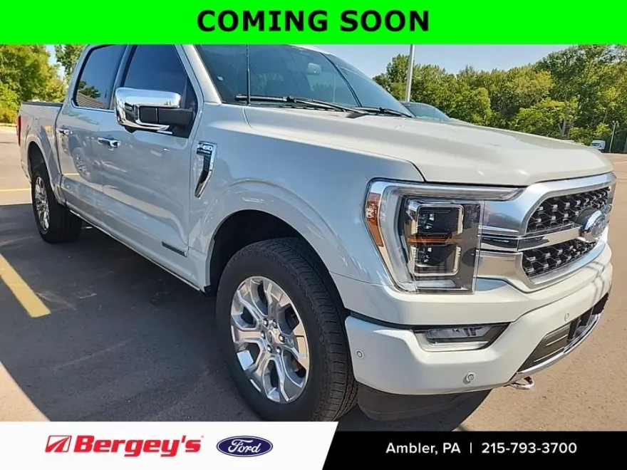 2023 Ford F-150 Platinum FX4 photo 1