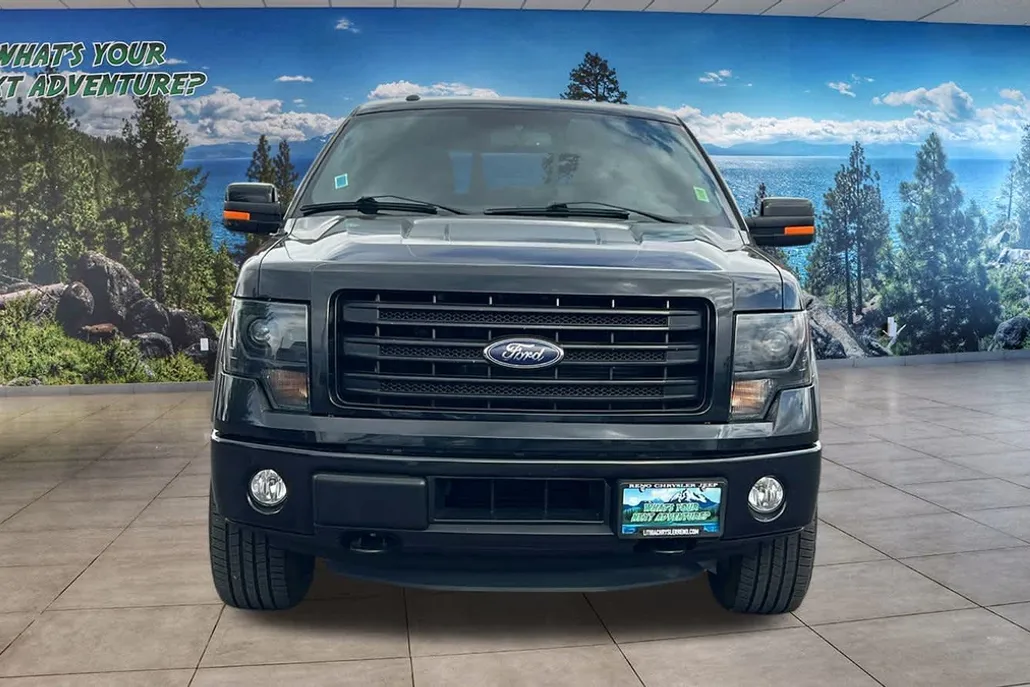 2014 Ford F-150 FX4 Tremor photo 1
