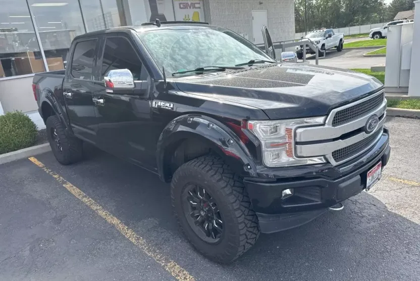 2019 Ford F-150 Platinum photo 1