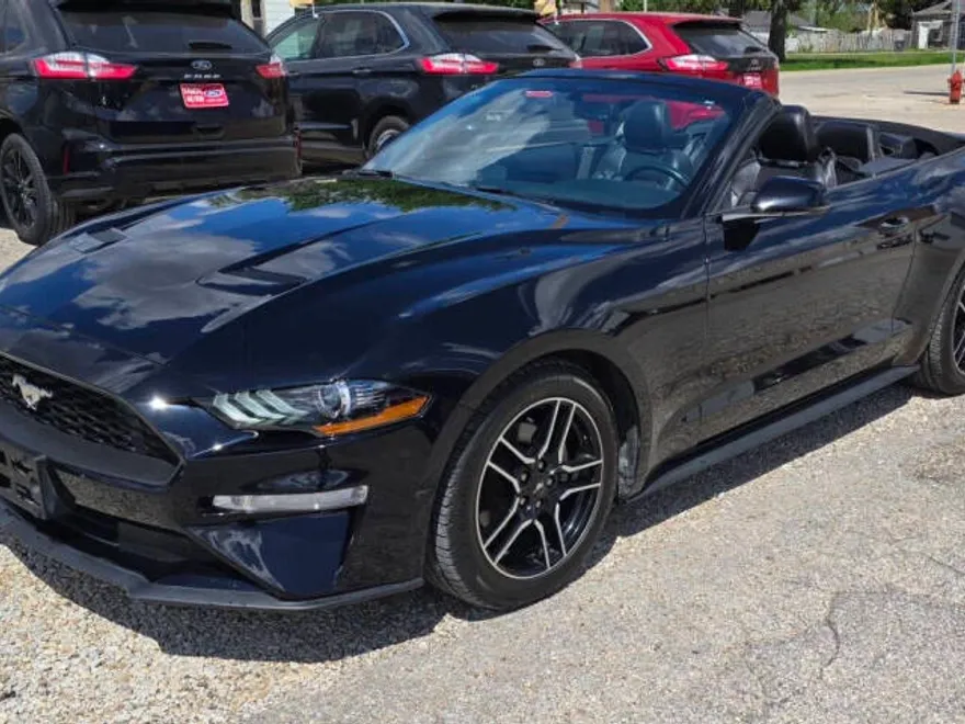2018 Ford Mustang EcoBoost Premium photo 1