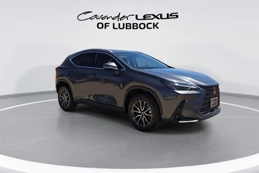 2025 Lexus NX 250 Premium photo 1