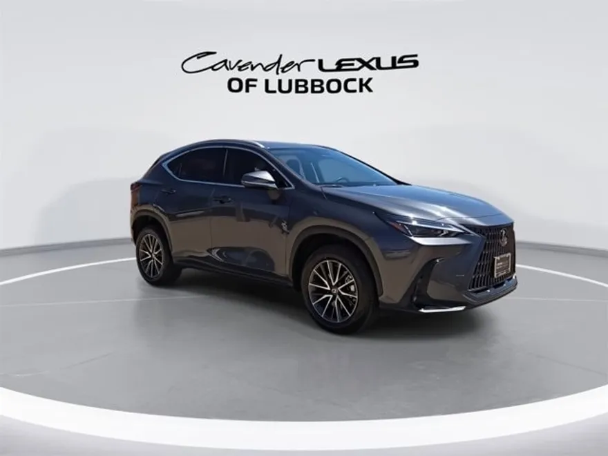 2025 Lexus NX 250 Premium photo 1