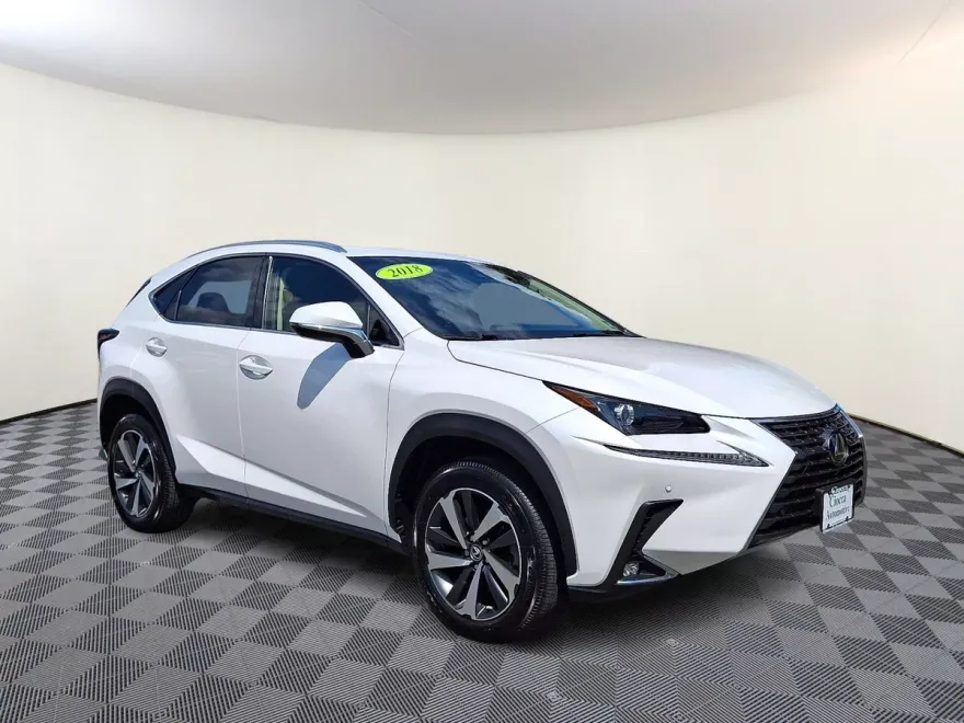 2018 Lexus NX 300 Luxury photo 1