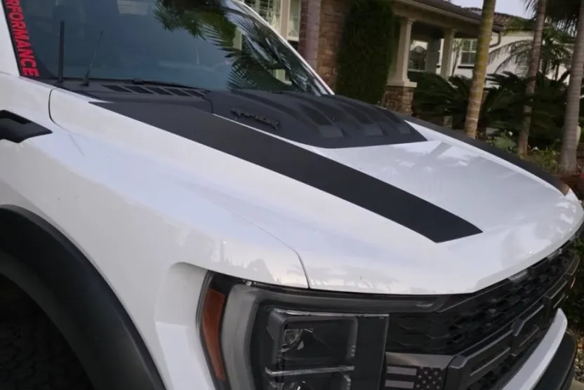 2022 Ford F-150 Raptor photo 1