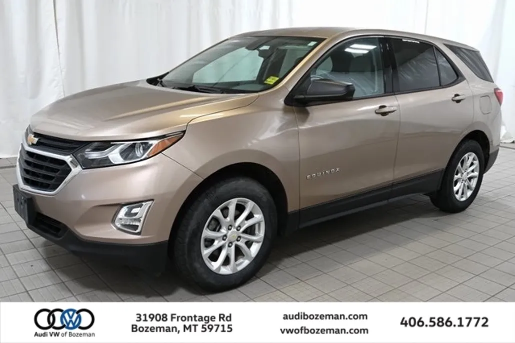 2019 Chevrolet Equinox LS photo 1