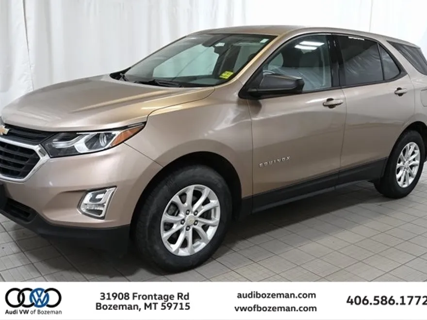2019 Chevrolet Equinox LS photo 1
