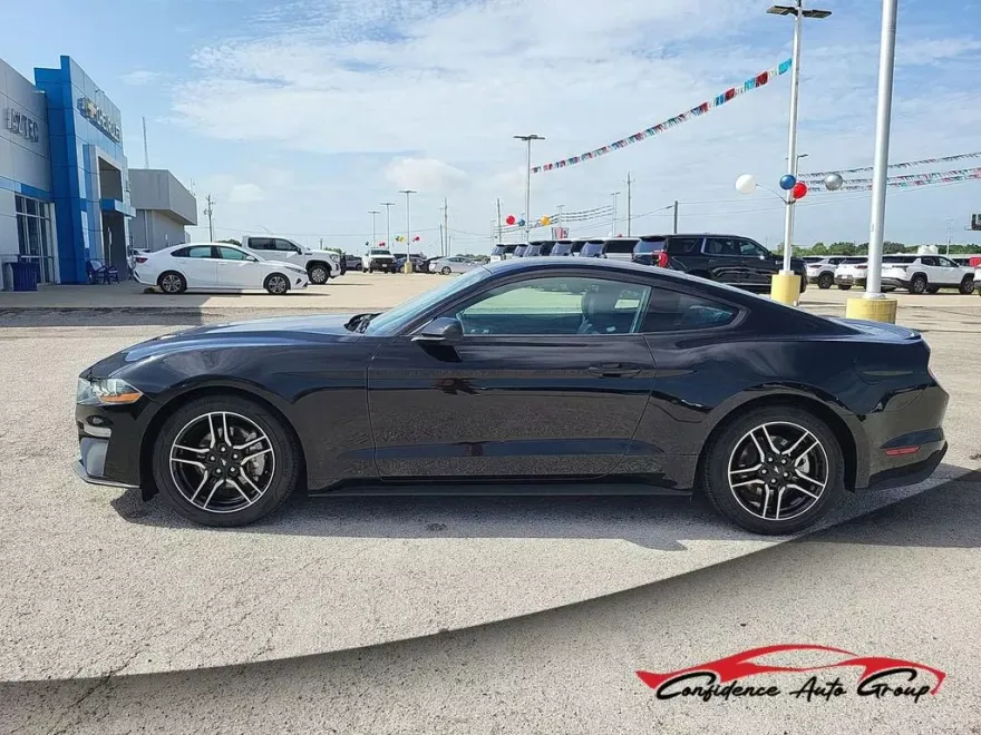 2023 Ford Mustang EcoBoost Premium photo 1