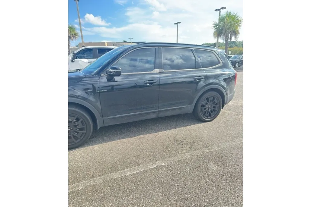 2022 Kia Telluride EX photo 1
