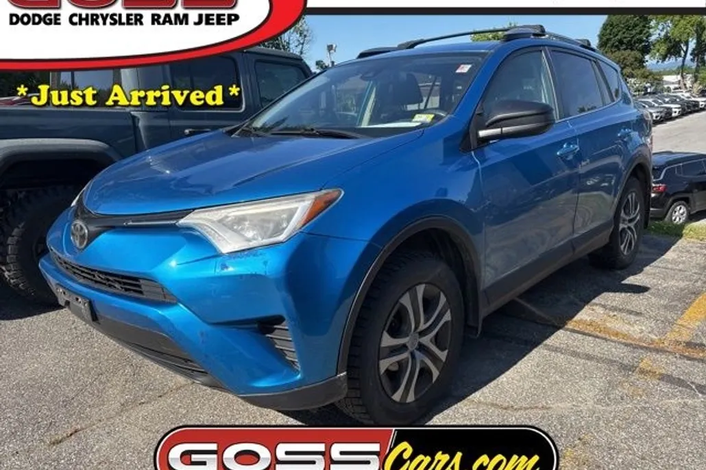 2017 Toyota RAV4 LE photo 1