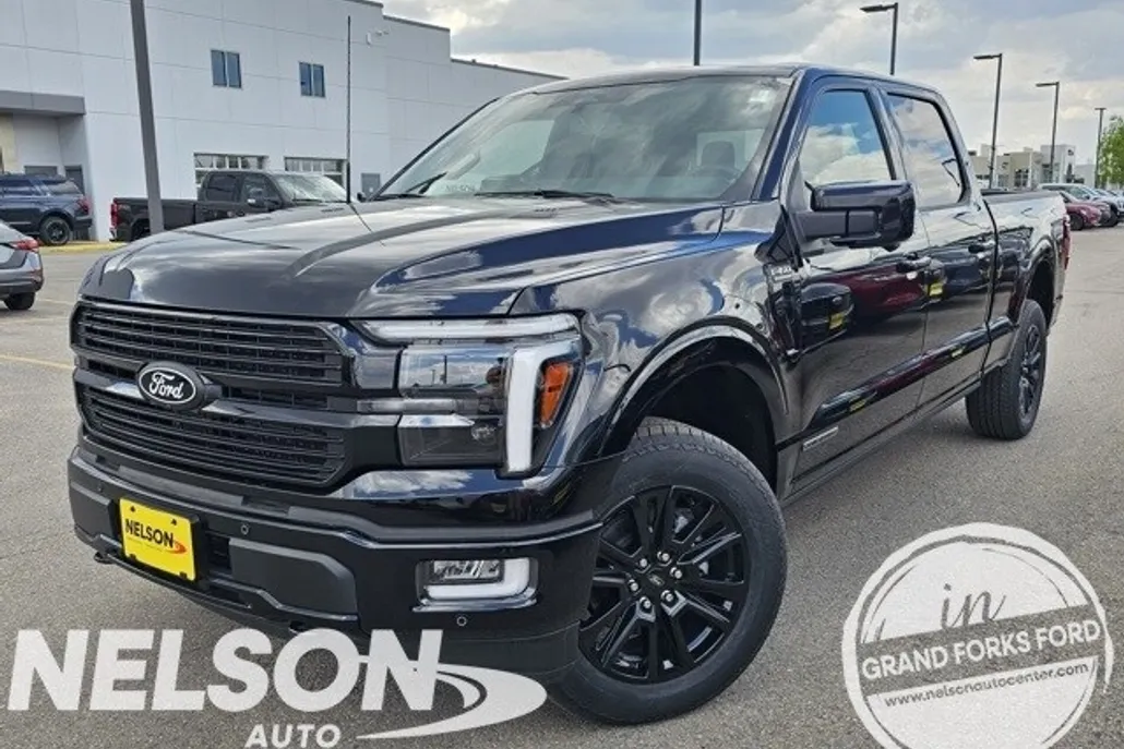2025 Ford F-150 Platinum photo 1
