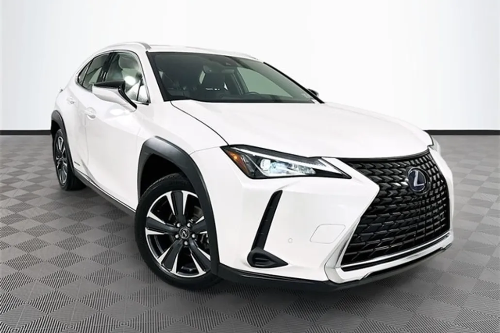 2021 Lexus UX 250h photo 1