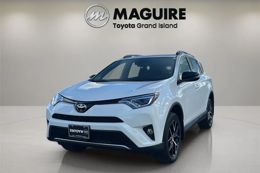2017 Toyota RAV4 SE photo 1
