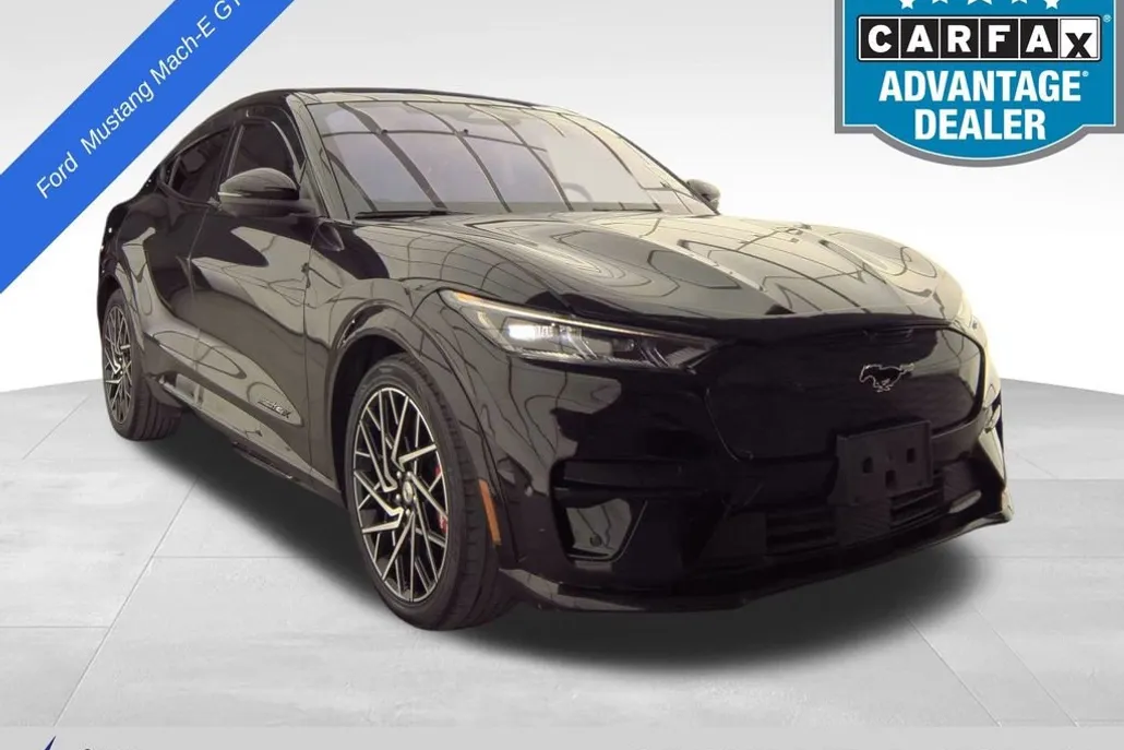 2021 Ford Mustang Mach-E GT photo 1