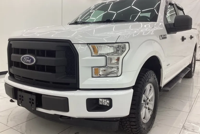 2017 Ford F-150 photo 1