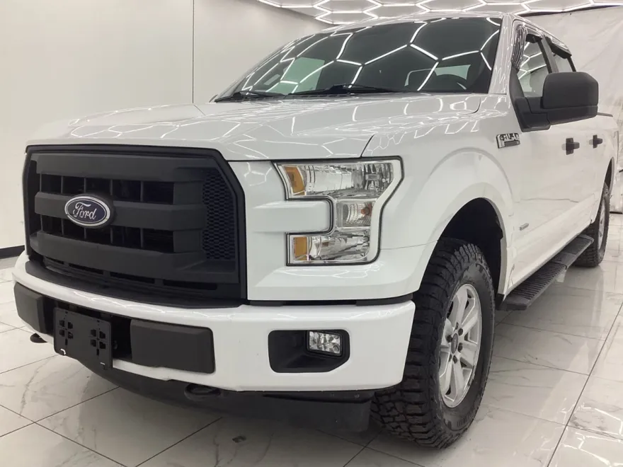 2017 Ford F-150 photo 1