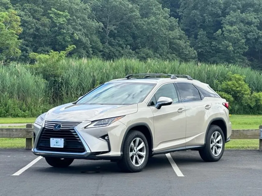 2019 Lexus RX 350 photo 1