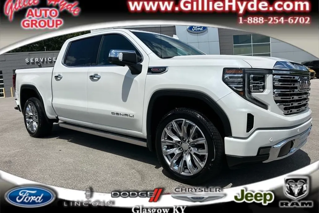 2024 Gmc Sierra 1500 Denali photo 1