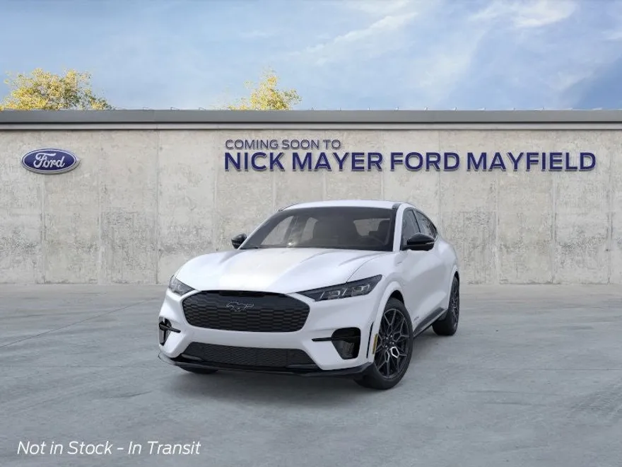 2025 Ford Mustang Mach-E GT photo 1