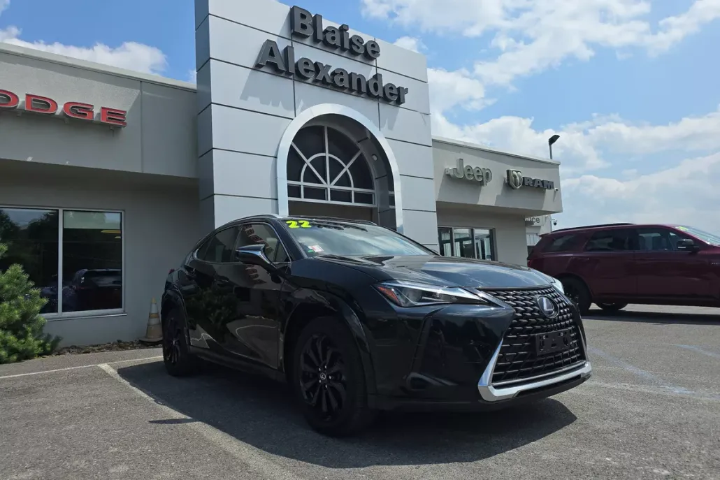 2022 Lexus UX 250h photo 1