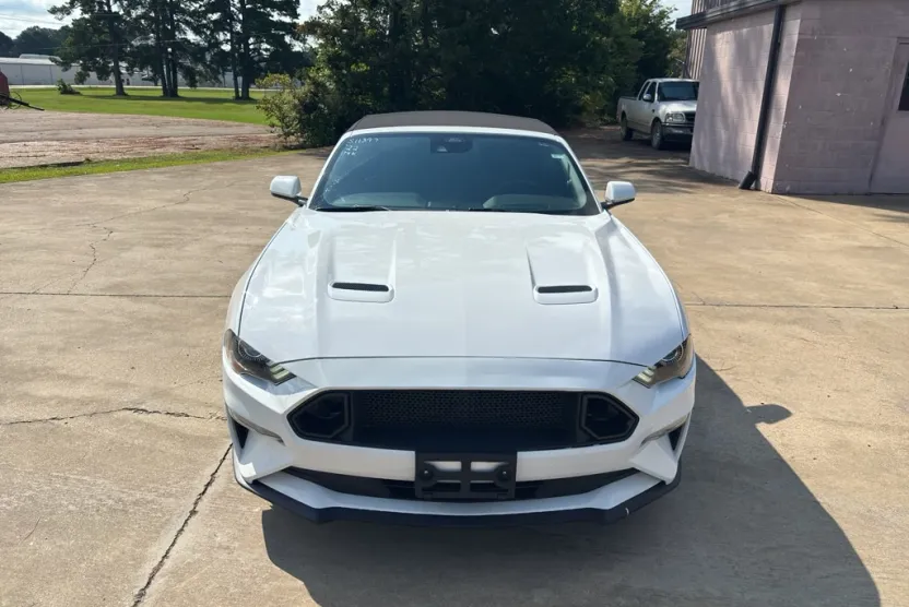 2022 Ford Mustang EcoBoost Premium photo 1