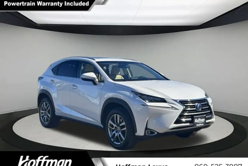 2015 Lexus NX 300h Luxury photo 1