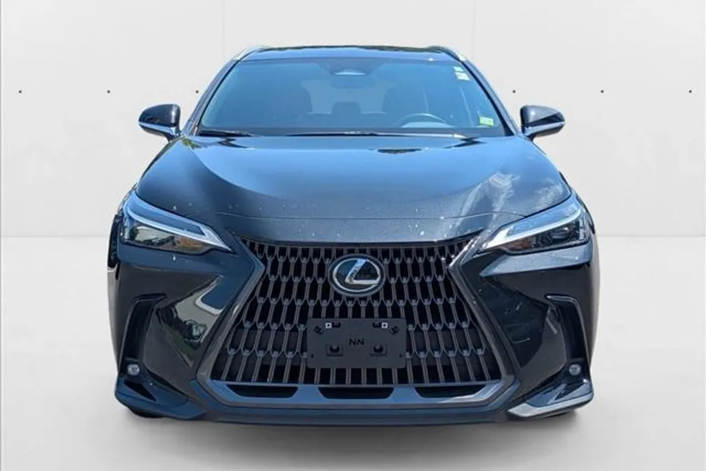 2022 Lexus NX 250 photo 1