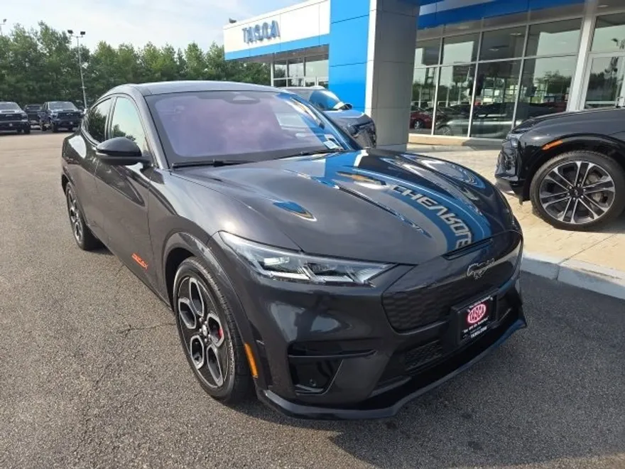 2021 Ford Mustang Mach-E GT photo 1