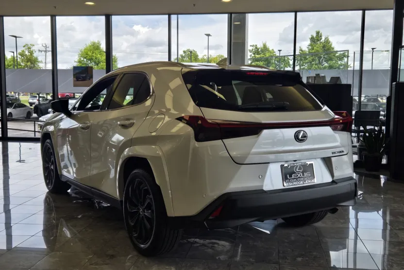 2025 Lexus UX Premium photo 1