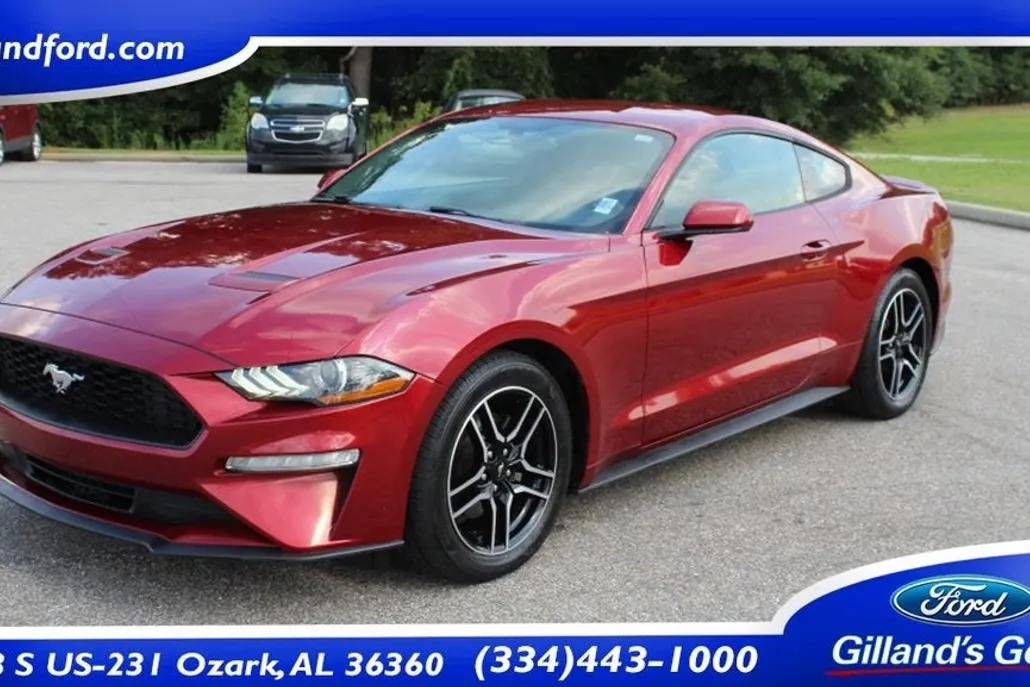2019 Ford Mustang EcoBoost photo 1