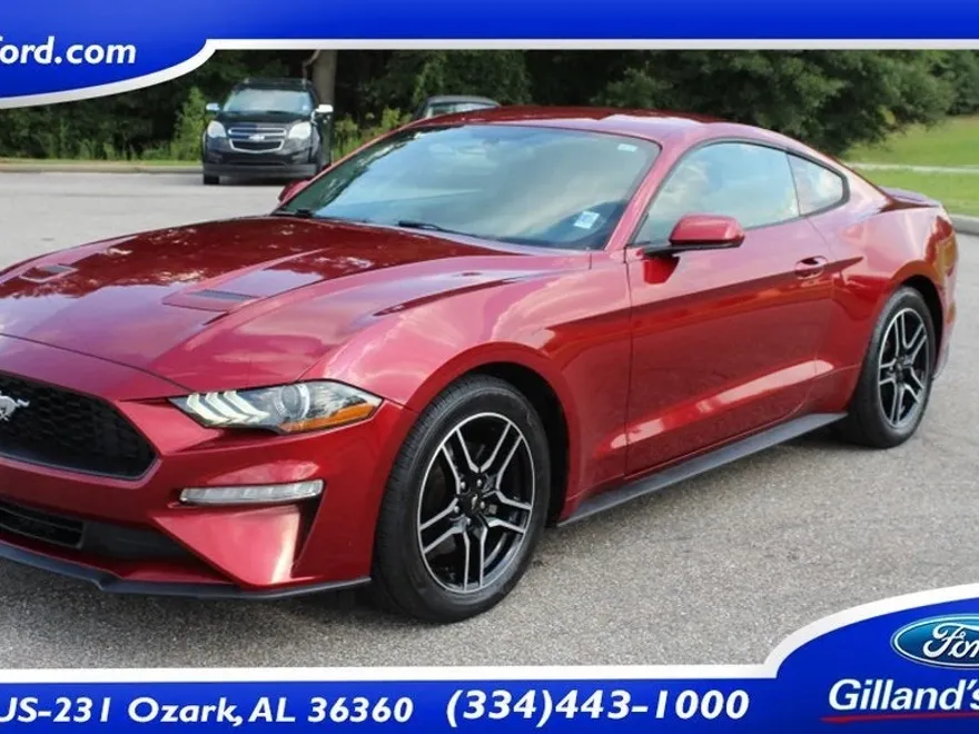 2019 Ford Mustang EcoBoost photo 1