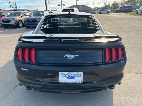 2021 Ford Mustang EcoBoost photo 4