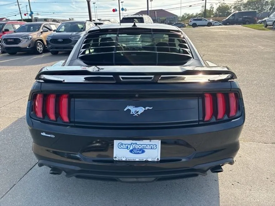 2021 Ford Mustang EcoBoost photo 4