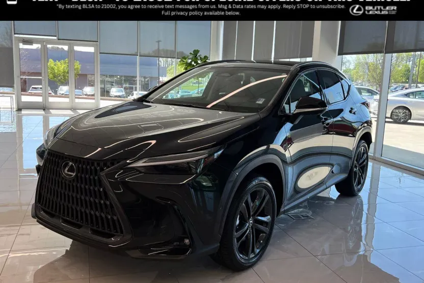 2025 Lexus NX Luxury AWD photo 1