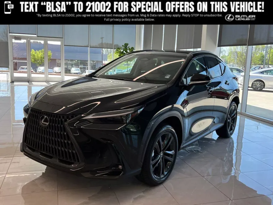 2025 Lexus NX Luxury AWD photo 1