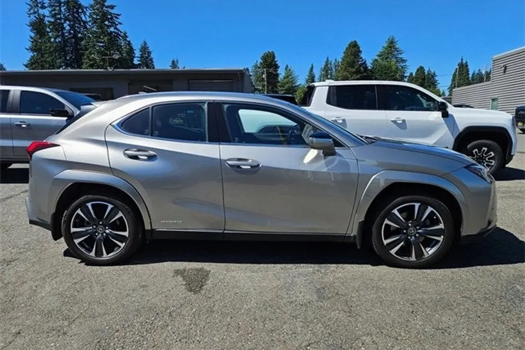 2022 Lexus UX 250h photo 1