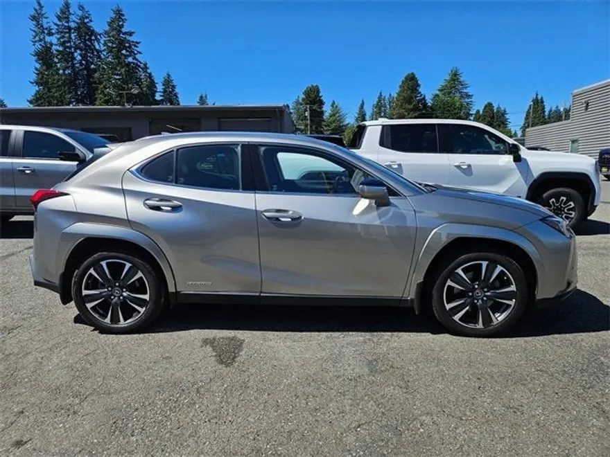 2022 Lexus UX 250h photo 1