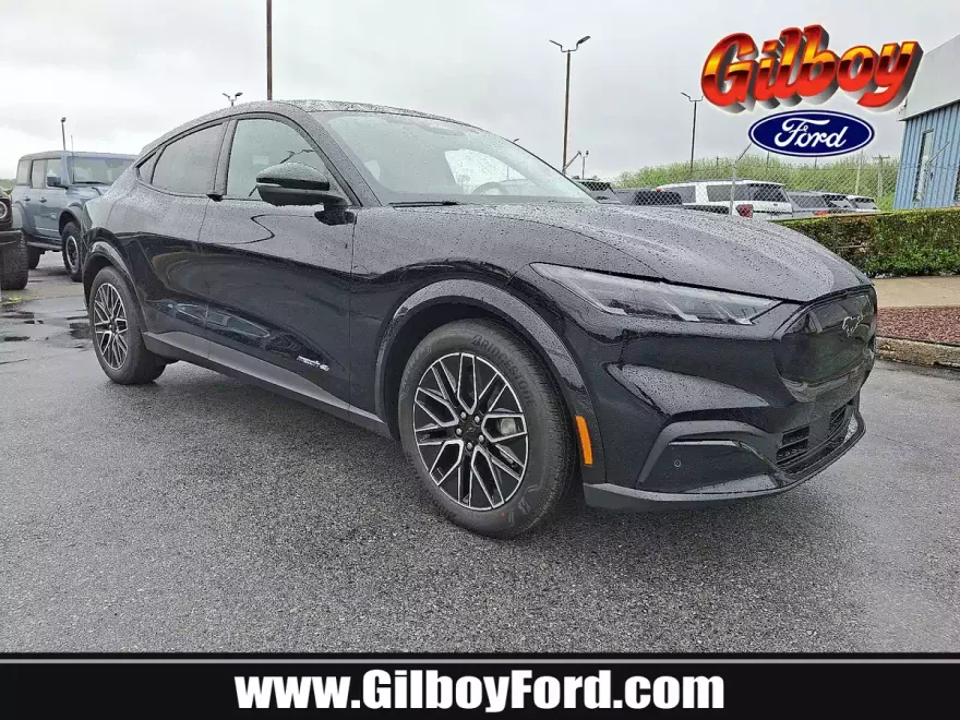 2025 Ford Mustang Mach-E Premium photo 1