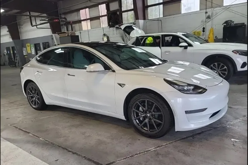 2019 Tesla Model 3 Standard Range Plus photo 1
