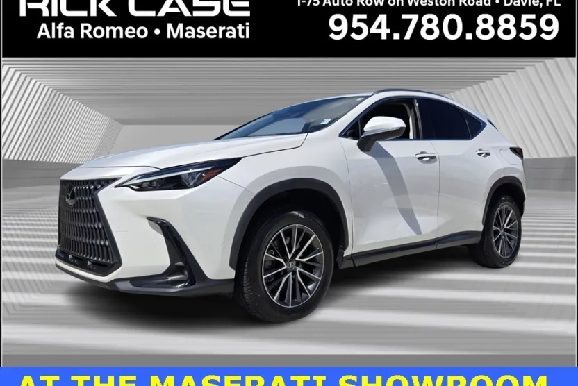 2022 Lexus NX 250 photo 1