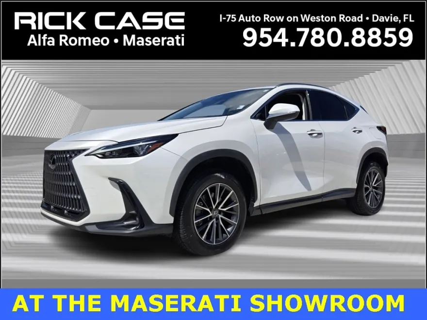 2022 Lexus NX 250 photo 1